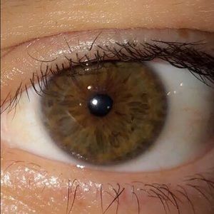 Meet your Posher, Evan